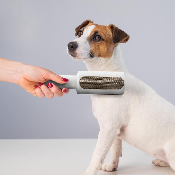 Fiudx Quitapelusas Multifuncional, Rodillo Electrostático para Limpieza de Pelos de Mascotas, Adhesivo para Ropa, Ropa de Cama, Sofás y Alfombras, Diseño Compacto y Fácil de Transportar, Tamaño 19 X