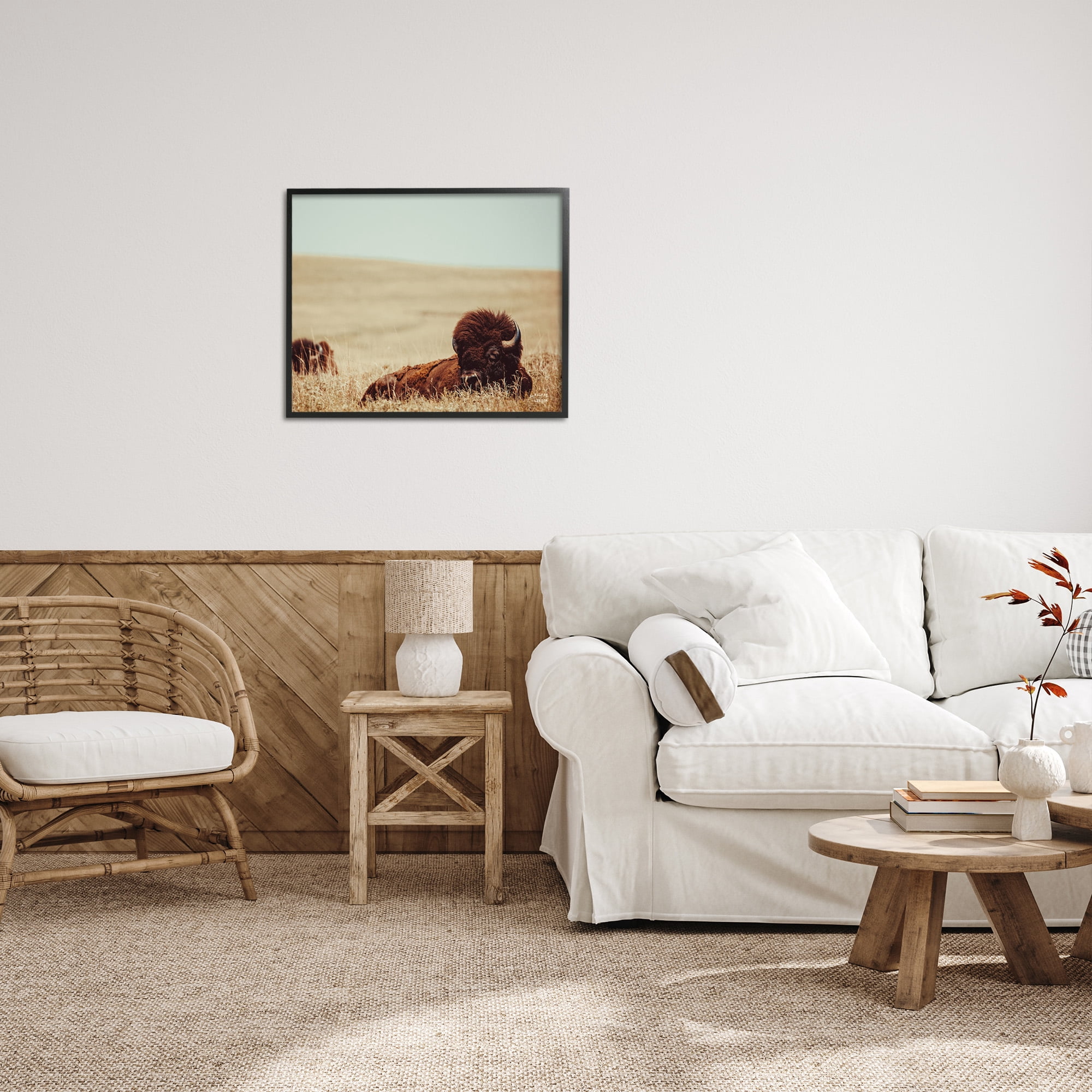 Stupell Industries Bison Relaxing in Field Animals & Insects Photography Black Framed Art Print Wall Art, 30 x 24