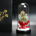 thumbnail image 4 of HCTSHG Christmas Tree in Glass Dome Tabletop Christmas Tree with Lights in Glass Dome for Xmas Home Indoor Room Christmas Decorations Desktop, 4 of 5