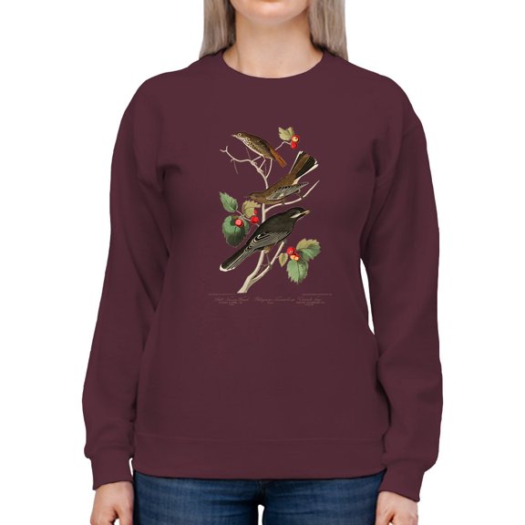 Little Tawny Thrush. Sweatshirt Women -John James Audubon Designs, Female XX-Large