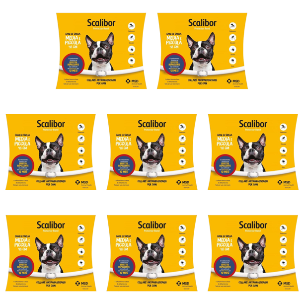 Collar Antipulgas Y Garrapatas Impermeable 12 Meses Protección para (S Italiano)