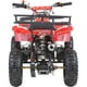 thumbnail image 3 of Cuatrimoto Atv Niños Montable LITTLE MONKEY 49cc Motor Gasolina Parrillas, 3 of 4