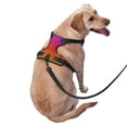 thumbnail image 2 of Balery Rainbow Glitter Arnés para Perros Grandes Antitirones, Arnés con Correa para Gato, Arnés Tipo Chaleco para Perros Pequeños-Large, 2 of 6