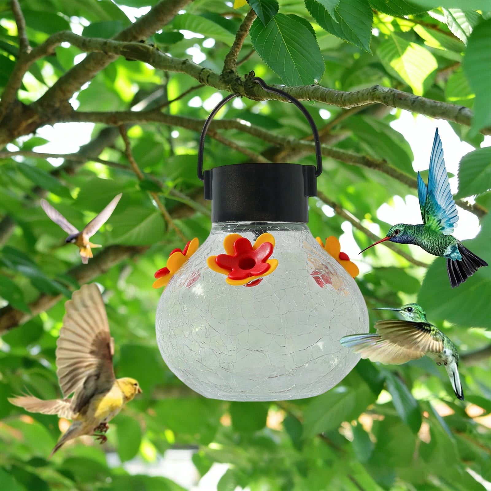 Camnix Solar Lighted Hummingbirds Feeder Automatic Unit Patio Hanging Outdoor Decoration