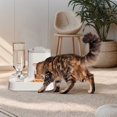 thumbnail image 4 of Automatic Pet Feeder And Waterer Large Capacity Cat Dog Food Bowl Indoor Feeding Station For Durable Plastic Design, 4 of 4
