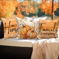 thumbnail image 2 of DaShan Fall Pumpkin Throw Pillow Covers 20x20 Set of 4,Thanksgiving Autumn Pillow Cases for Bedroom Sofa Couch, 2 of 6