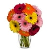 From You Flowers - Stunning Gerbera Daisies - 10 Stems with Glass Vase (Fresh Flowers) Birthday, Anniversary, Get Well, Sympathy, Congratulations, Thank You