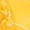 Yellow, variant on Princess Elsa Toddler Girls Ballet Flat