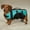 Brite Color - Bluebird, variant on DOG LIFE JACKET Aquatic Pet Preserver Water Safety Vests for Dogs Swim Vest(xxSmall Safety Color - Orange)