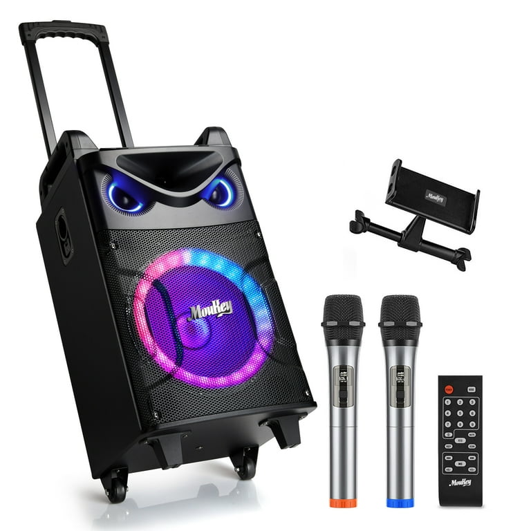 Karaoke Machine with Two Wireless Microphones, Portable Karaoke Machine for  Adults & Kids, Portable Bluetooth Speaker with PA System, LED Lights