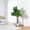 5FT, variant on QinaQin 5FT Realistic Artificial Fiddle Leaf Fig Tree – Tall Faux Ficus Lyrata with Pot – Modern Minimalist Greenery for Home, Office, Bedroom, Bathroom, or Tabletop – Indoor/Outdoor Decor