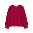 thumbnail image 5 of Arshiner Girls Shirts Lace Raglan Long Sleeves Crewneck Casual Soft Kids Blouse Tee Tops, 5 of 6