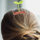 thumbnail image 4 of WEUVEB 4Ud Accesorios Para Con Clips De Brote De Planta Y Delicados, 4 of 6