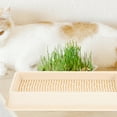 thumbnail image 6 of WHAMVOX Cat Grass Planting Box Soilless Cat Plant Hydroponic Planter Plastic Cat Catnip Planter, 6 of 8
