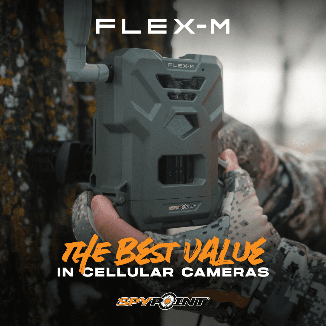 SPYPOINT Flex-M Solar Bundle | FLEX-M Trail Camera and Compact Solar Panel | Cellular Trail Camera, Best Value in Hunting Accessories, No WiFi Needed