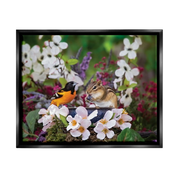 Stupell Industries Squirrel & Bird in Nature Animals & Insects Photography Black Floater Framed Art Print Wall Art, 21 x 17