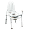 Creative Specialties Moen Homecare Bedside Commode, 1 ea