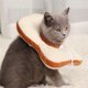 thumbnail image 5 of Collar de algodón para curar heridas, antimordeduras, rasguños, lamido, collar para mascotas, gatos, perros, 5 of 5