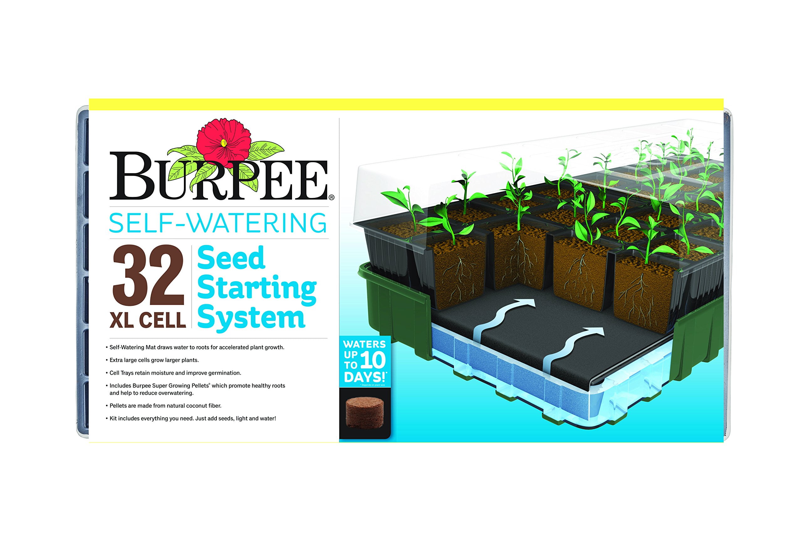 Burpee Seed Starter Tray 32 Xl Cells Self Watering Walmart Com Burpee Seed Starter Tray 32 Xl Cells Self Watering Walmart Com