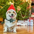 thumbnail image 5 of Collar de perro navideño, adorable collar para cachorros, perros, gatos, mascotas, 5 of 5