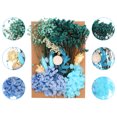 thumbnail image 3 of Unique Bargains Fleurs Séchées Naturelles Multiples Fleurs Séchées Pressées Colorées Bleues, 3 of 5