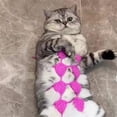 thumbnail image 4 of TIELUTT Pet Cat Bikini Pure Handmade Cat Funny Pet Clothes Small Dog Clothes Rhinestone Choker Leash Double Dog Necklace Pull Stop Leash Pet Accessories, 4 of 6