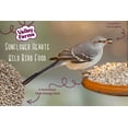 thumbnail image 6 of Valley Farms Sunflower Hearts Wild Bird Seed, 6 of 14