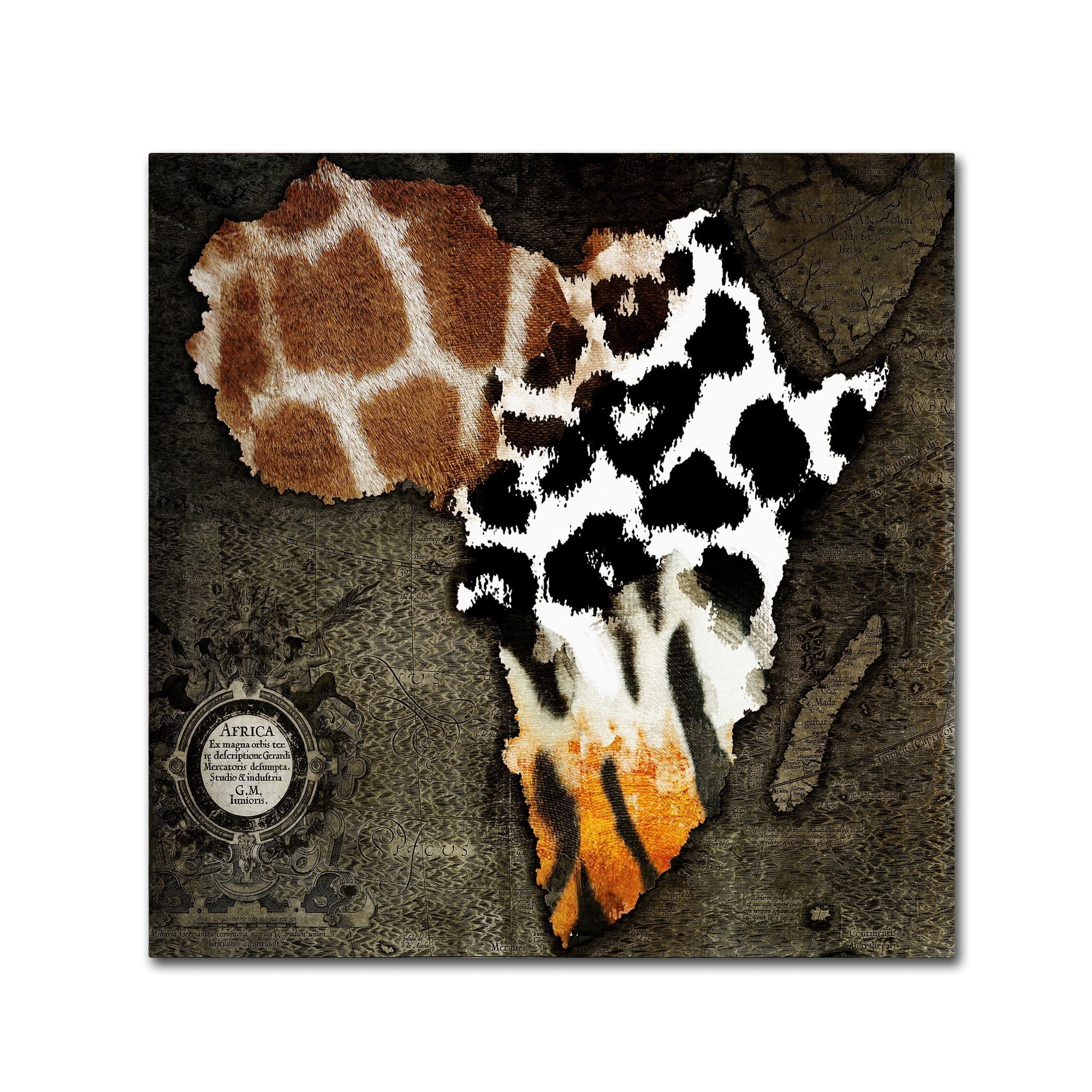Trademark Fine Art 35x35 Maps Canvas Wall Art 'Animal Map Of Africa' by Color Bakery