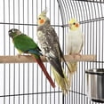 thumbnail image 4 of 55'' Triple Roof Top Bird Cage, Large Medium Parrot Bird Cage for Cockatiel, Conure, Green Cheek, Parakeet Caique with Removable Stand, Black, 4 of 5