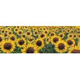 thumbnail image 2 of Marzari, Tebo 32x14 Gold Ornate Wood Framed with Double Matting Museum Art Print Titled - Girasoli, 2 of 4