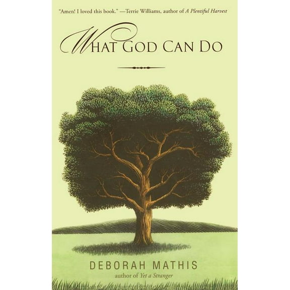 What God Can Do: How Faith Changes Lives for the Better, (Paperback)
