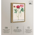 thumbnail image 3 of Art Remedy Botanical Prints Canvas, 24" x 36", Gold Frame, Anemone (1596-1610) by Anselmus, 3 of 7