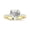 Rose Gold, variant on Classic Prong Set Heart Shape Diamond Engagement Ring (I Color, VS2-SI1 Clarity Center Stones) Platinum 2 Carat LAB GROWN Diamond Size: 9