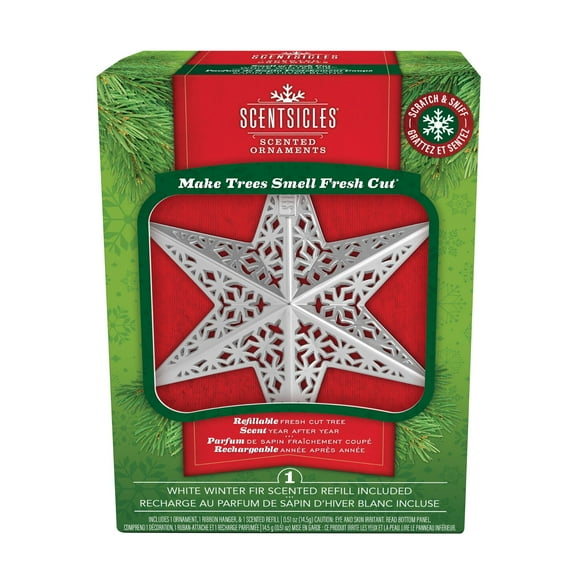 6.5" White Winter Fir Christmas Star Ornament