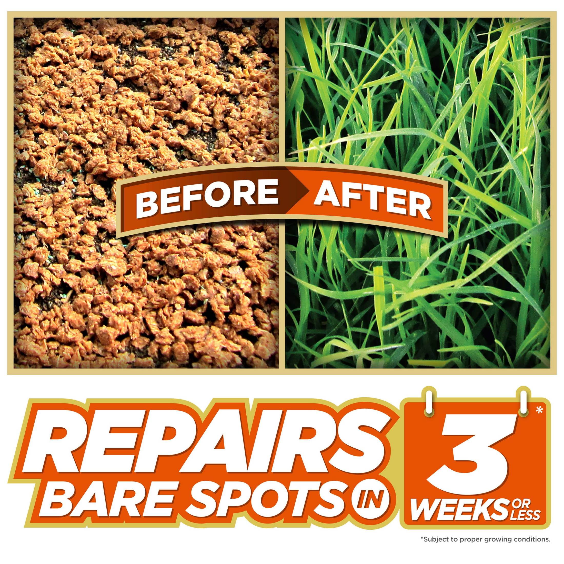 Pennington One Step Complete Bermuda Grass Seed Patch and Repair Mix, for Full Sun, 5 lb