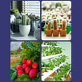thumbnail image 2 of LED bulb,Lamp Flowers (220v) Red Led Plant Indoor Red Led E27 Lamp Flowers Led Eryue Led, 2 of 6