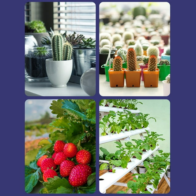 Grow Bulb for Indoor Plants, Red & Blue Spectrum E14 Plant Light Bulb for Seedlings, Succulents