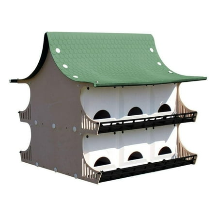 S and K Purple House, 12 Room