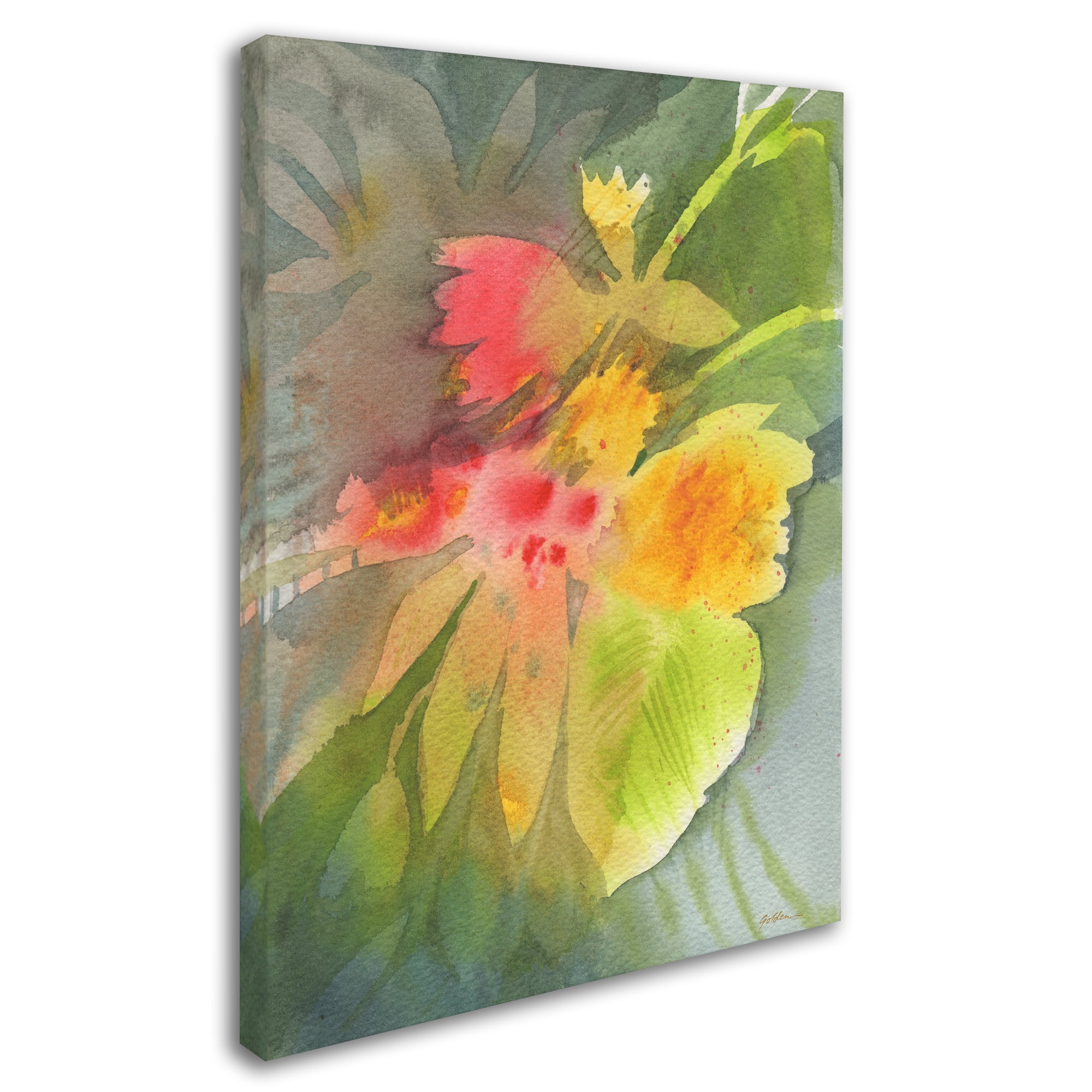 Through Darkness Brightly' Canvas Art by Sheila Golden