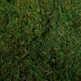 thumbnail image 5 of BalsaCircle 18" x 16" Green Natural Preserved Moss Sheet Wedding Party Crafts Centerpieces Decorations, 5 of 8
