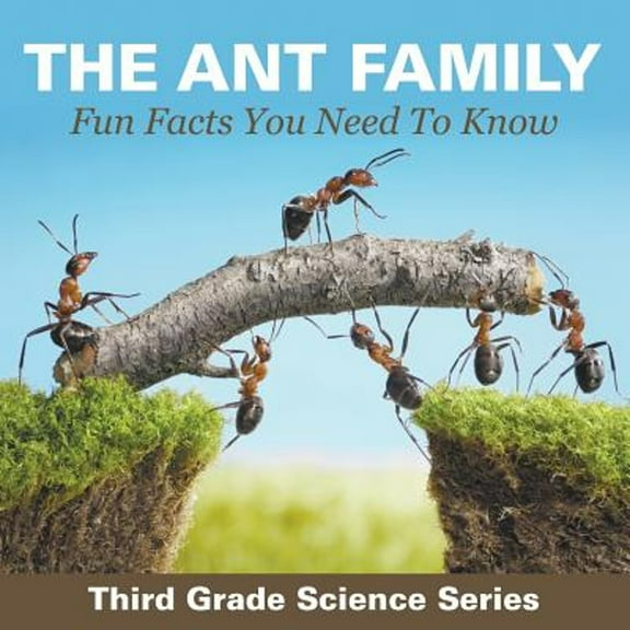 The Ant Family - Fun Facts You Need To Know (Paperback)