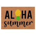 thumbnail image 1 of TIELUTT Pineapple Letter Printed Door Mat Door Carpet for Entrance Front Throw Pillows and Blanket Set and Striped Throw Blanket Area Rugs Living Room Rug for Bed Room Softest Throw Blanket, 1 of 4