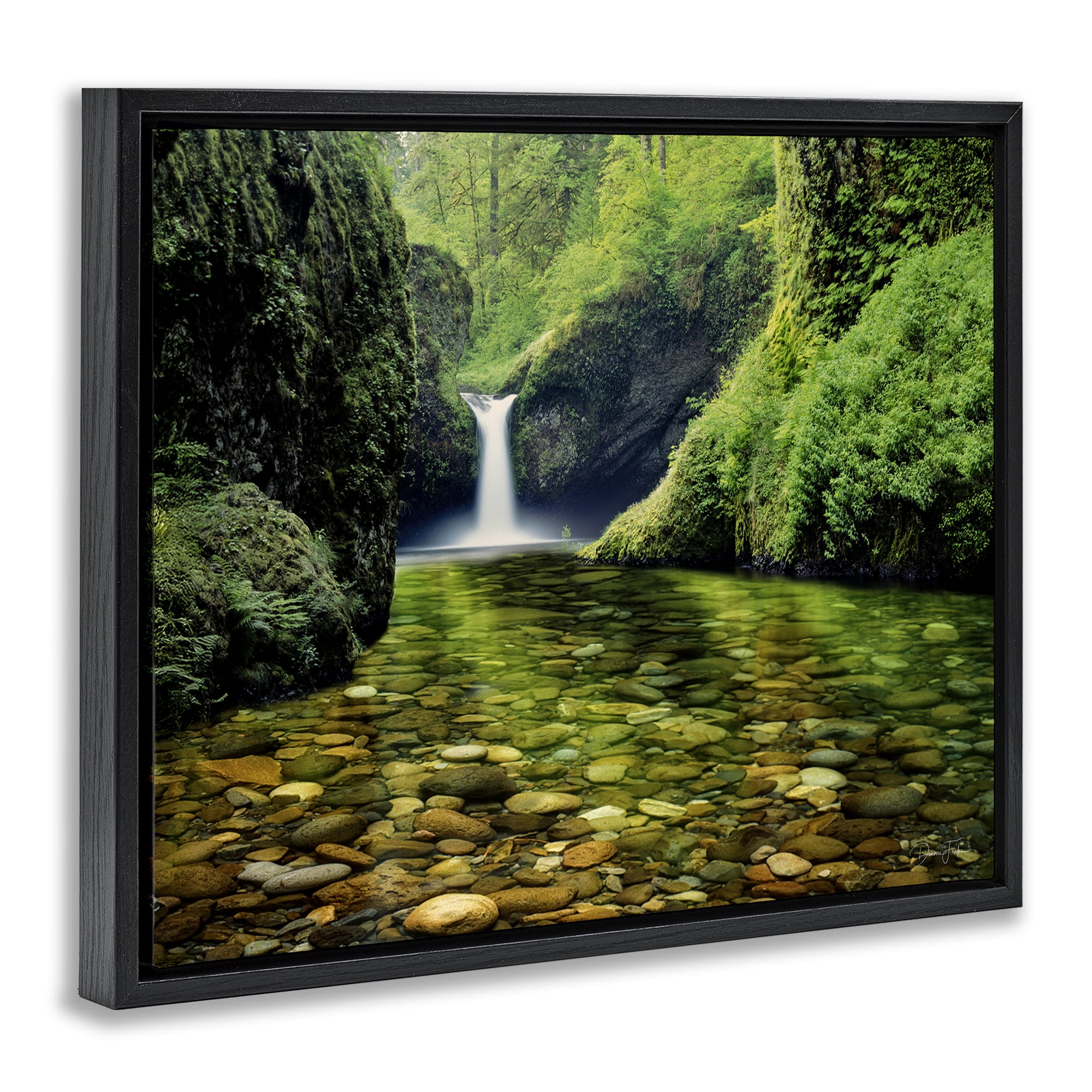 Stupell Industries Punchbowl Falls in Emerald Forest Black Framed Floater Canvas Wall Art, design by Dennis Frates