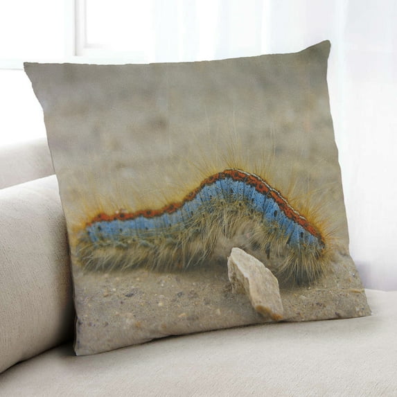 Ahgly Company Insects worm Indoor Throw Pillow, 18 inch by 18 inch
