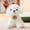 White, variant on LSLJS Puppy Plush Toy Doll Teddy Dog Doll Cute Cute Simulation Doll