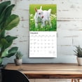thumbnail image 5 of Baby Goats | 2026 12x24" (Hanging) Square Wall Calendar | Plastic-Free, 5 of 9