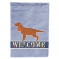 thumbnail image 1 of Carolines Treasures BB5516CHF English Cocker Spaniel Welcome Flag Canvas House Size, 1 of 4