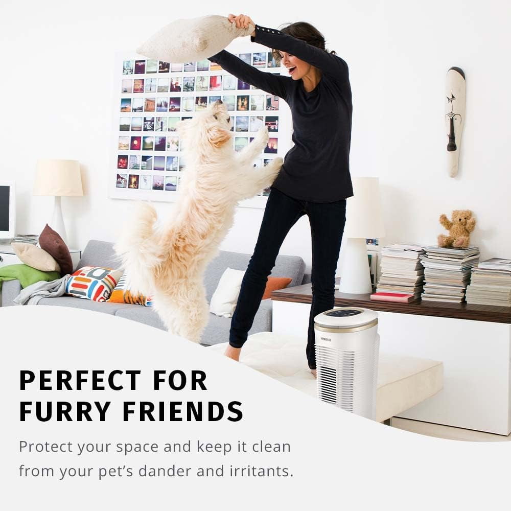 2 Filtri HEPA Ricambio Per Homedics - Compatibili AT-OFL, AT-PET01, AR-45