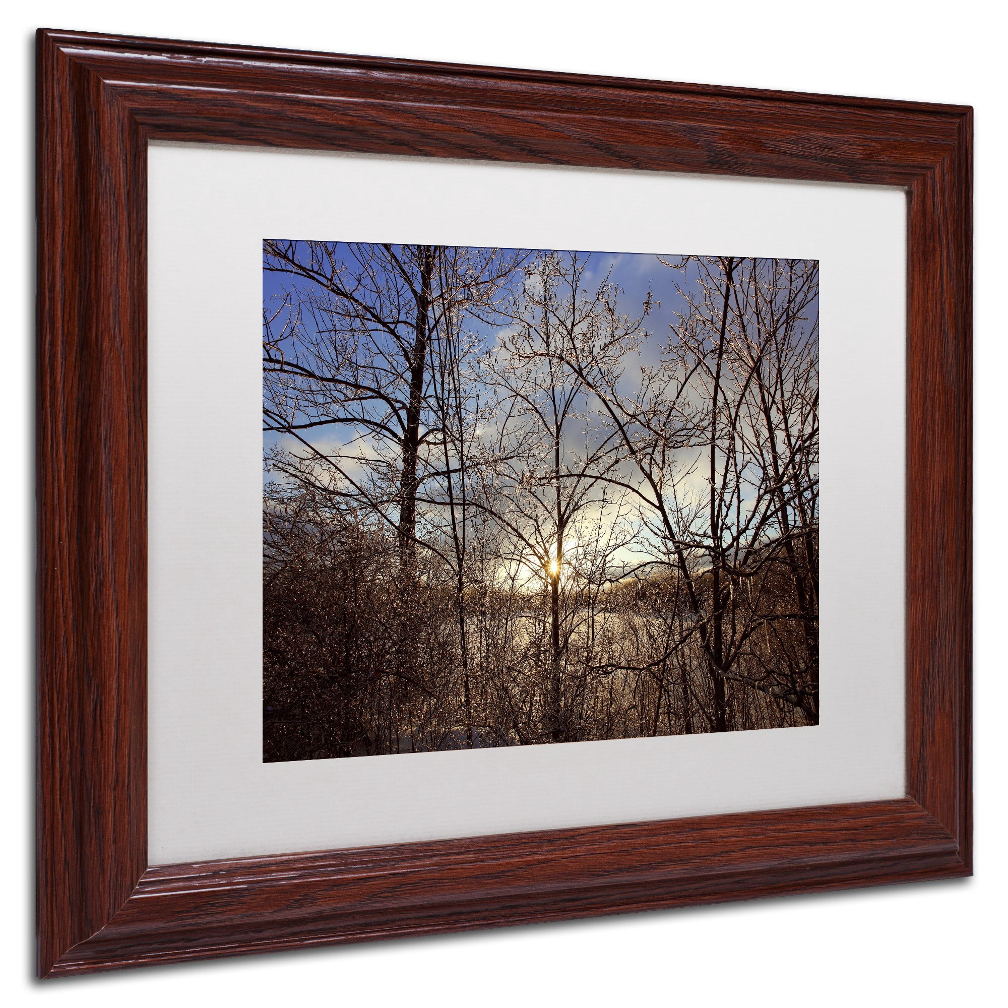 Trademark Fine Art "South Amherst Quarries" Canvas Art by Jason Shaffer, White Matte, Wood Frame