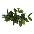thumbnail image 5 of Planta de simulación de reptiles paisajismo decorativo vid falsa para caja de selva tropical de reptilesNFF‑84 hoja de estrella verde, 5 of 5